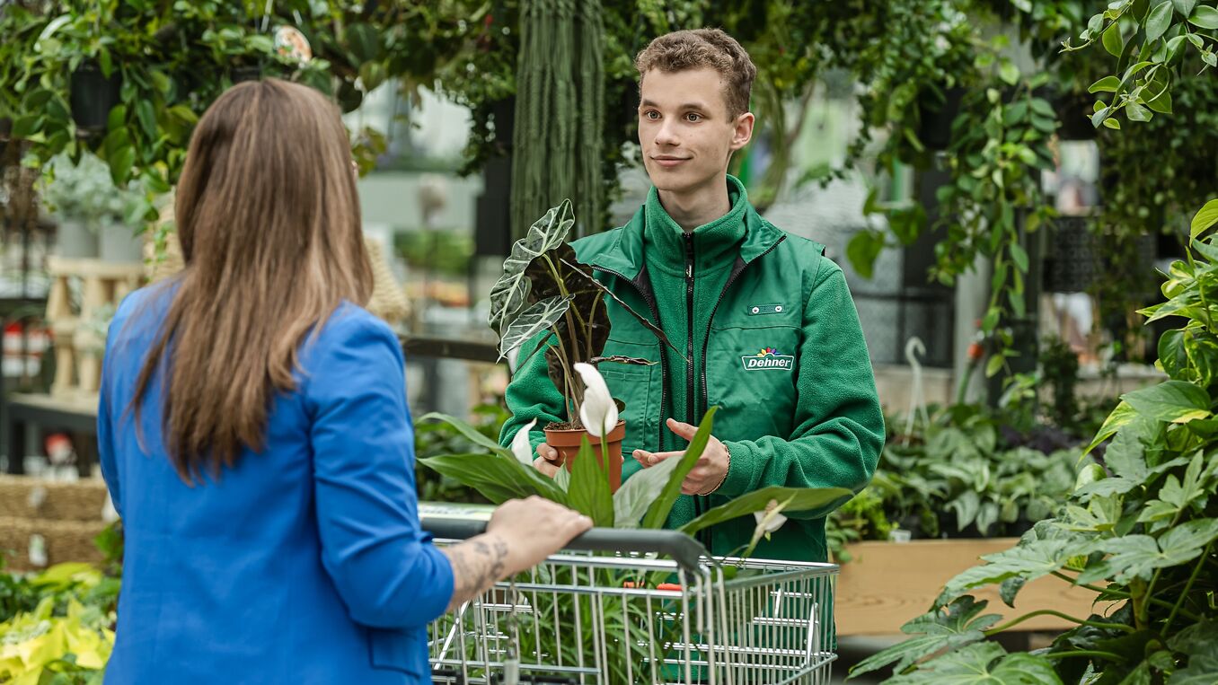 Dehner Gartencenter Österreich GmbH & Co. KG Bild 3