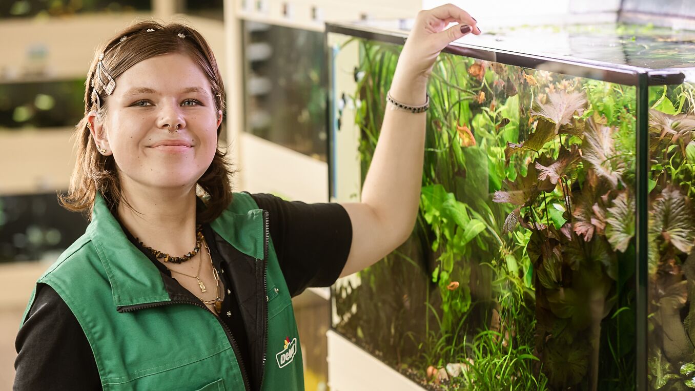 Dehner Gartencenter Österreich GmbH & Co. KG Bild 2