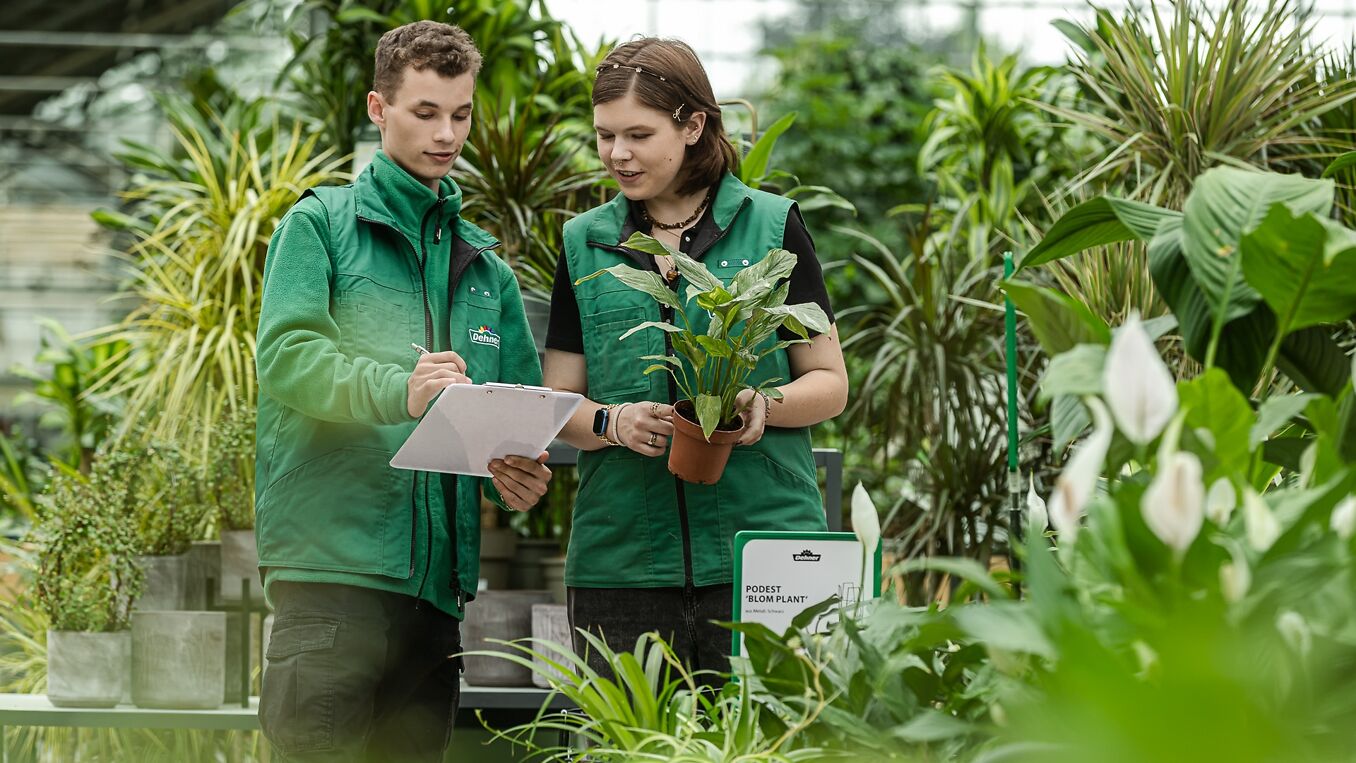 Dehner Gartencenter Österreich GmbH & Co. KG Bild 7