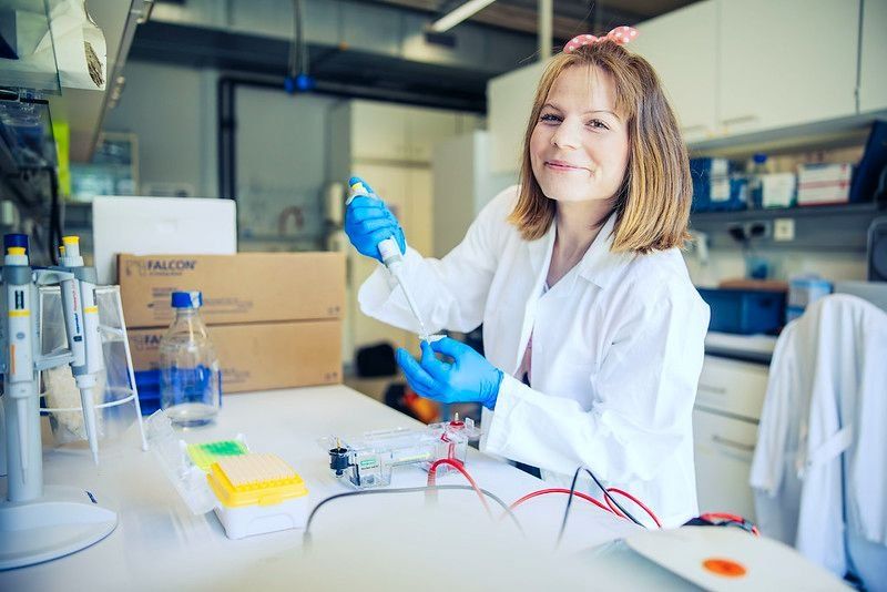 IMC Krems University of Applied Sciences Bild 9