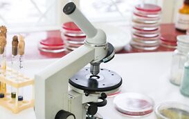 Werkstofftechniker/in Werkstofftechniker/in