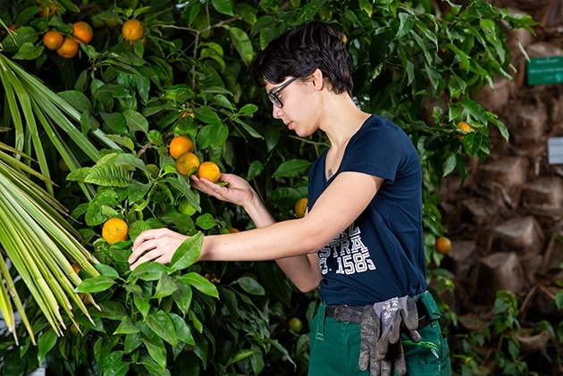 Karl-Franzens-Universität Graz: FacharbeiterIn Gartenbau/GärtnerIn