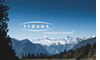 Logo Treves Perfoam GmbH